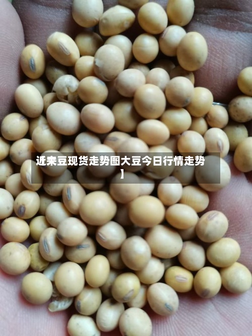 近来【大豆现货走势图大豆今日行情走势】-第2张图片