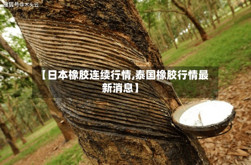 【日本橡胶连续行情,泰国橡胶行情最新消息】-第3张图片