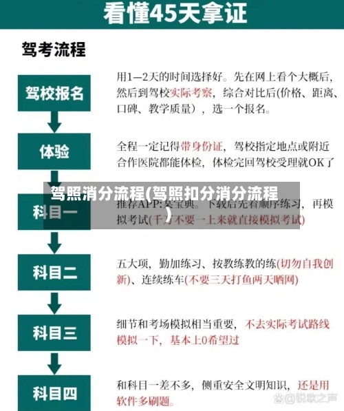 驾照消分流程(驾照扣分消分流程)-第2张图片