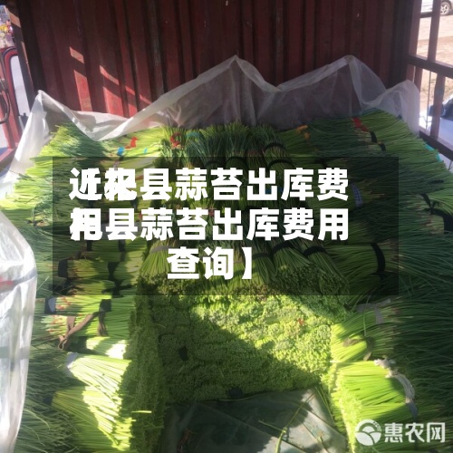 近来【杞县蒜苔出库费用杞县蒜苔出库费用查询】-第2张图片