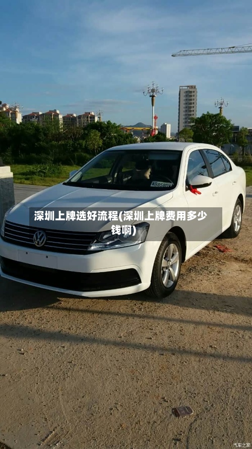 深圳上牌选好流程(深圳上牌费用多少钱啊)-第2张图片