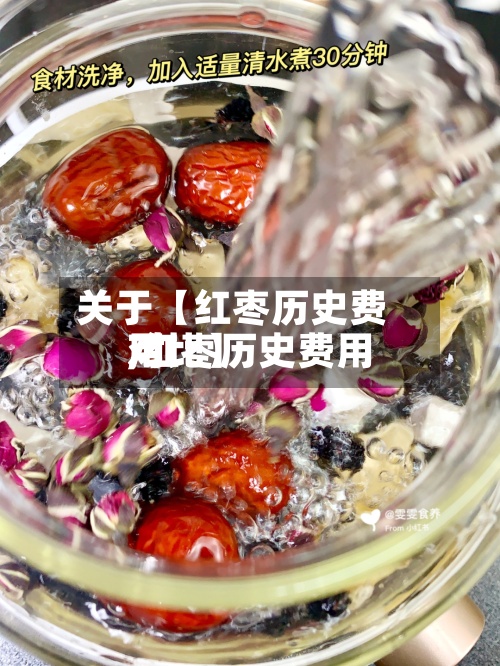 关于【红枣历史费用,红枣历史费用对比】-第2张图片