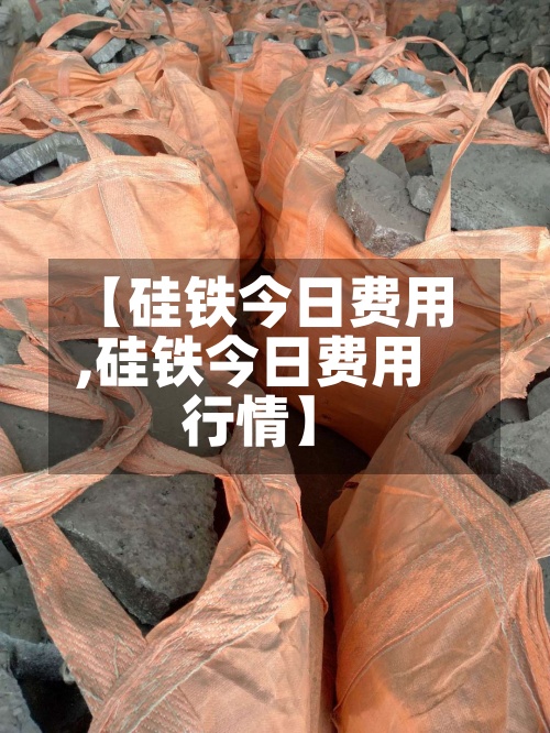【硅铁今日费用,硅铁今日费用行情】