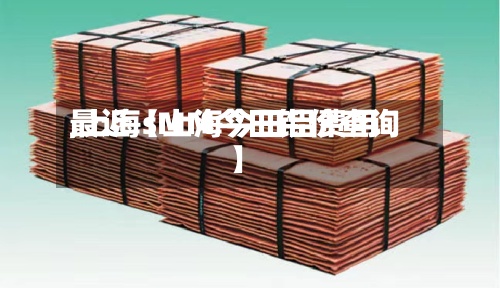 最近【上海今日铝费用,上海sMM今日铝价查询】-第2张图片