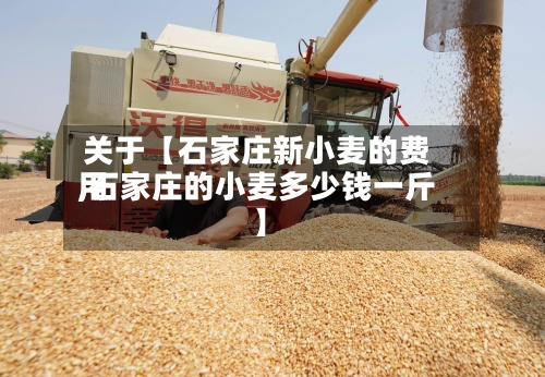 关于【石家庄新小麦的费用
,石家庄的小麦多少钱一斤】-第3张图片