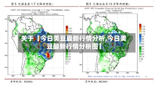 关于【今日美豆最新行情分析,今日美豆最新行情分析图】