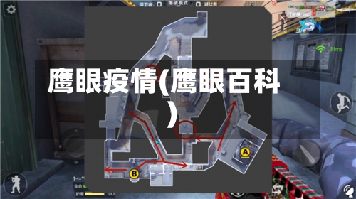 鹰眼疫情(鹰眼百科)