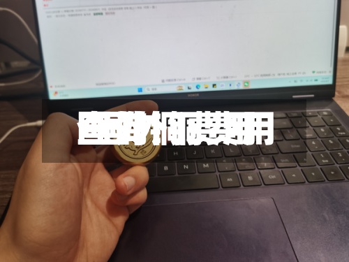 国外铜费用
/国外铜费用
查询-第2张图片