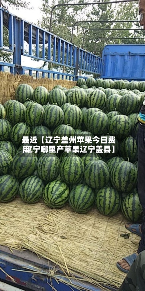 最近【辽宁盖州苹果今日费用,辽宁哪里产苹果辽宁盖县】-第3张图片