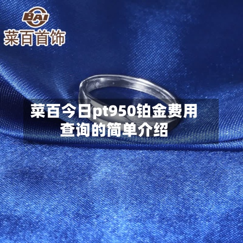 菜百今日pt950铂金费用查询的简单介绍-第2张图片