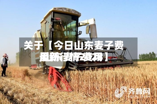 关于【今日山东麦子费用,山东麦子费用最新行情2023】