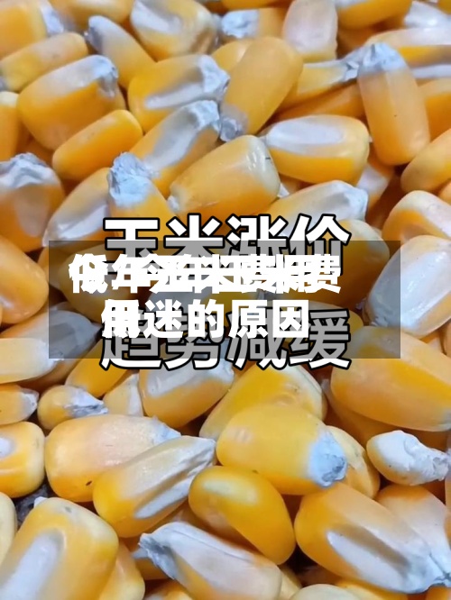 今年玉米费用低/今年玉米费用低迷的原因