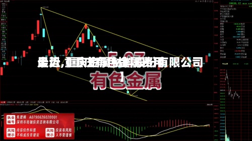 最近【重庆有色金属费用
走势,重庆金属材料股份有限公司】-第3张图片