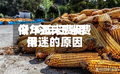今年玉米费用
低/今年玉米费用
低迷的原因-第3张图片
