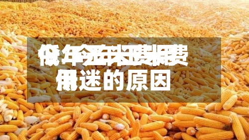 今年玉米费用
低/今年玉米费用
低迷的原因-第2张图片