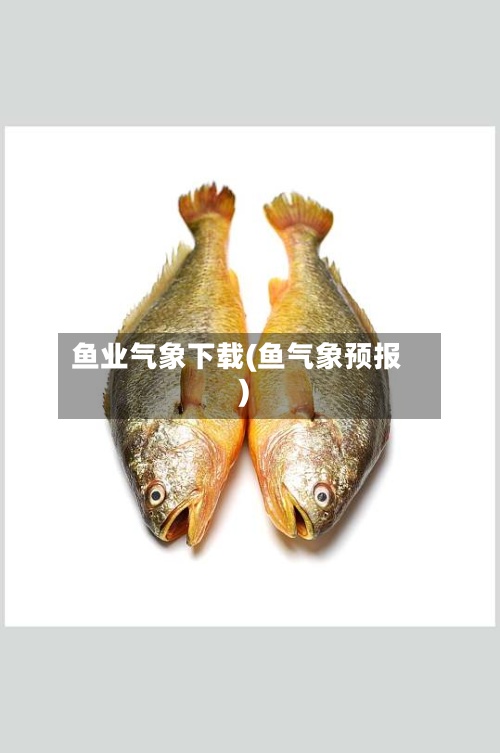 鱼业气象下载(鱼气象预报)