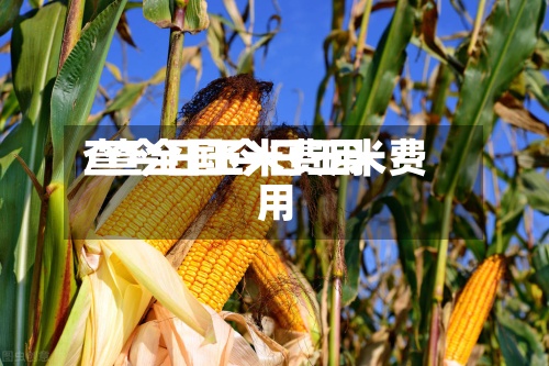 查今日玉米费用/查全国今日玉米费用