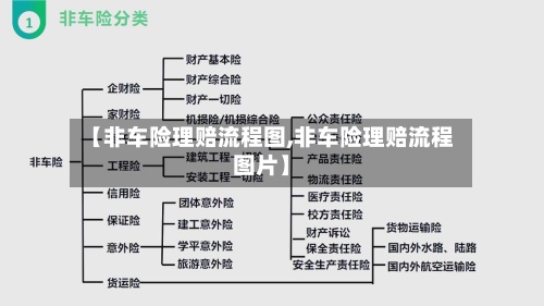 【非车险理赔流程图,非车险理赔流程图片】