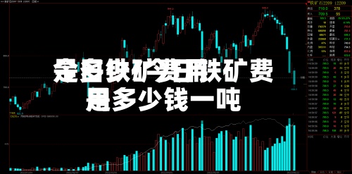今日铁矿费用
是多少/今日铁矿费用
是多少钱一吨-第2张图片