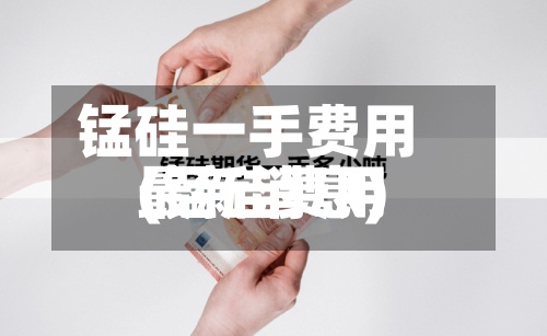 锰硅一手费用(锰硅费用最新消息)