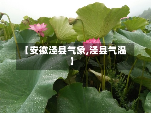 【安徽泾县气象,泾县气温】-第3张图片