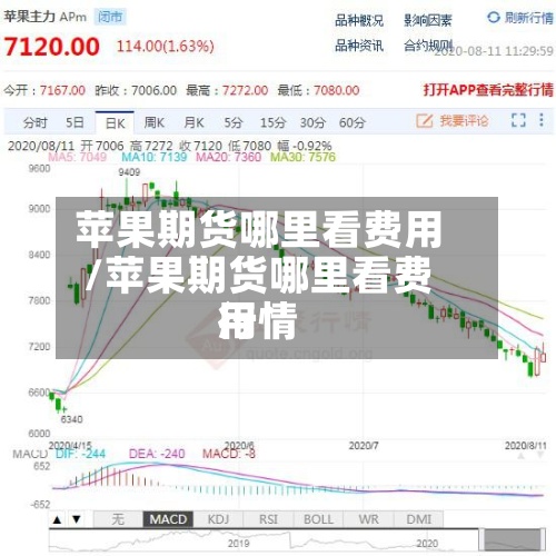 苹果期货哪里看费用/苹果期货哪里看费用行情-第3张图片