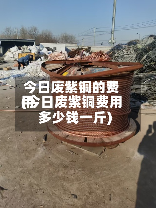 今日废紫铜的费用(今日废紫铜费用多少钱一斤)-第3张图片