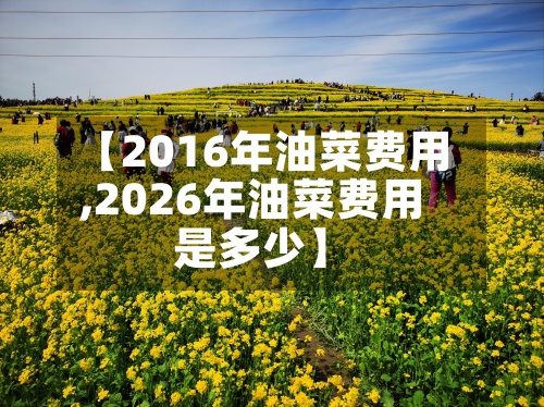 【2016年油菜费用,2026年油菜费用是多少】