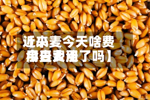 近来【小麦今天啥费用小麦费用今日大涨了吗】