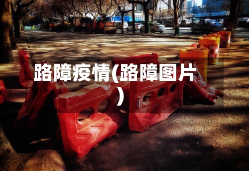 路障疫情(路障图片)-第2张图片