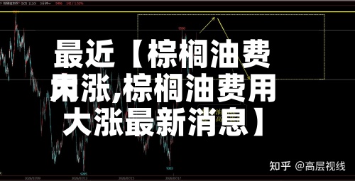 最近【棕榈油费用大涨,棕榈油费用大涨最新消息】-第2张图片