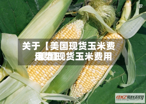 关于【美国现货玉米费用,美国现货玉米费用走势】
