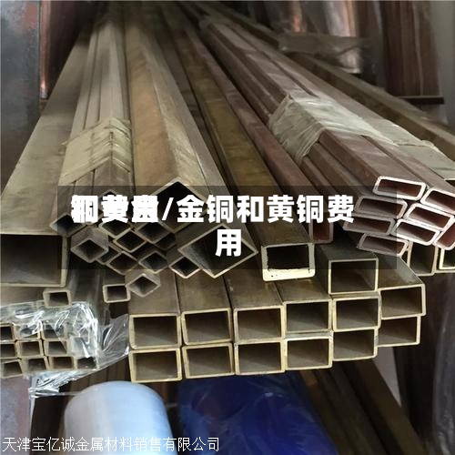 铜费用
和黄金/金铜和黄铜费用
-第2张图片