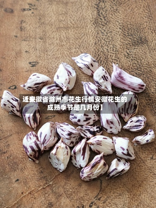 近来【安徽省滁州市花生行情安徽花生的成熟季节是几月份】