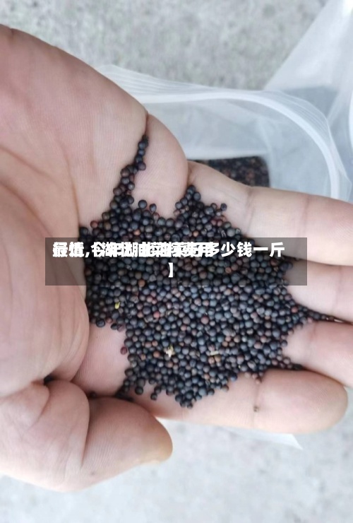 最近【湖北油菜籽费用行情,今年湖北油菜籽多少钱一斤】-第2张图片