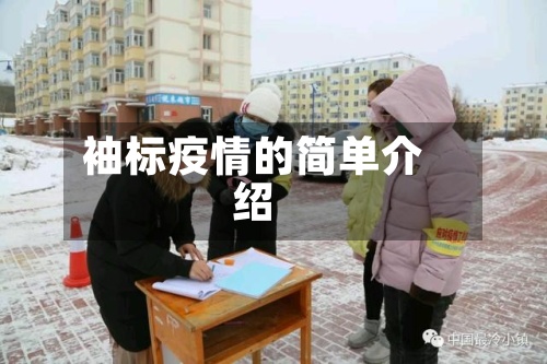 袖标疫情的简单介绍-第3张图片