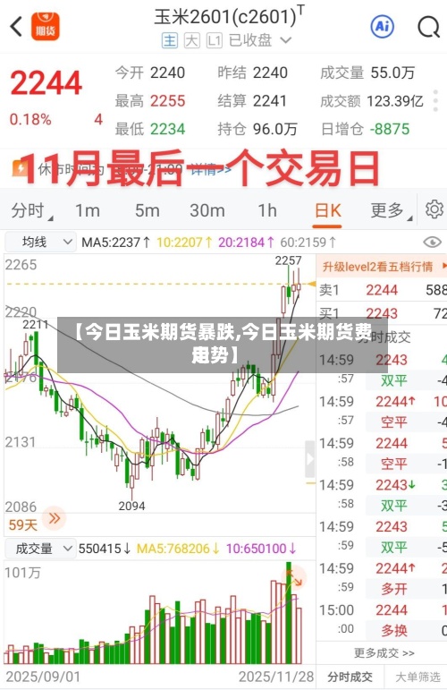 【今日玉米期货暴跌,今日玉米期货费用走势】-第2张图片