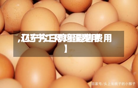 【辽宁二号鸡蛋费用
,辽宁今日鸡蛋零售费用
】-第2张图片