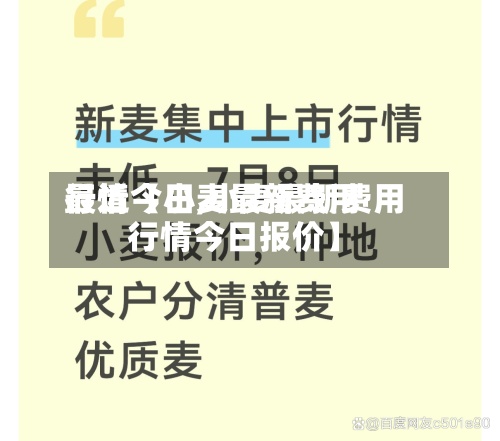 最近【小麦最新费用行情今日,小麦最新费用行情今日报价】