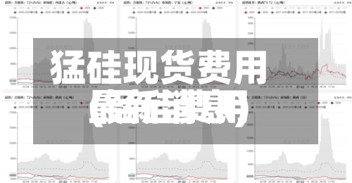猛硅现货费用(锰硅费用最新消息)