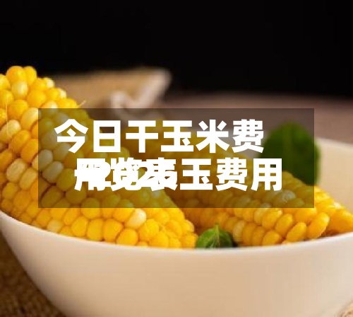 今日干玉米费用/2026玉费用一览表-第2张图片