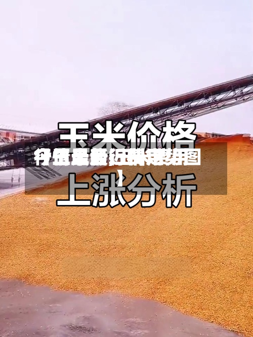 【玉米最近费用行情走势,玉米费用今日最新行情走势图】