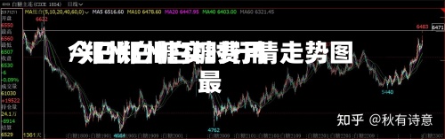 今日郑州白糖费用/郑州白糖实时行情走势图最