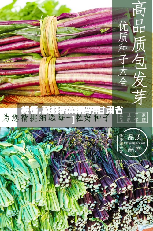 关于【甘肃菜籽费用行情,菜籽蔬菜种子 甘肃省】-第3张图片