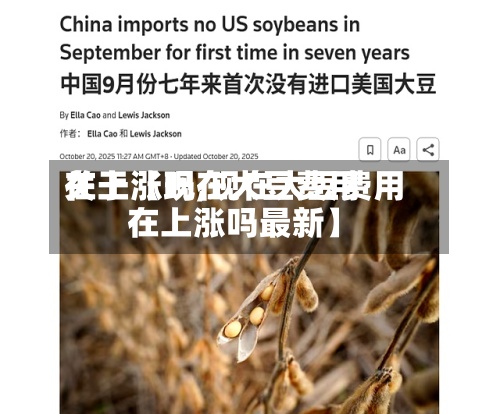 关于【现在大豆费用在上涨吗,现在大豆费用在上涨吗最新】