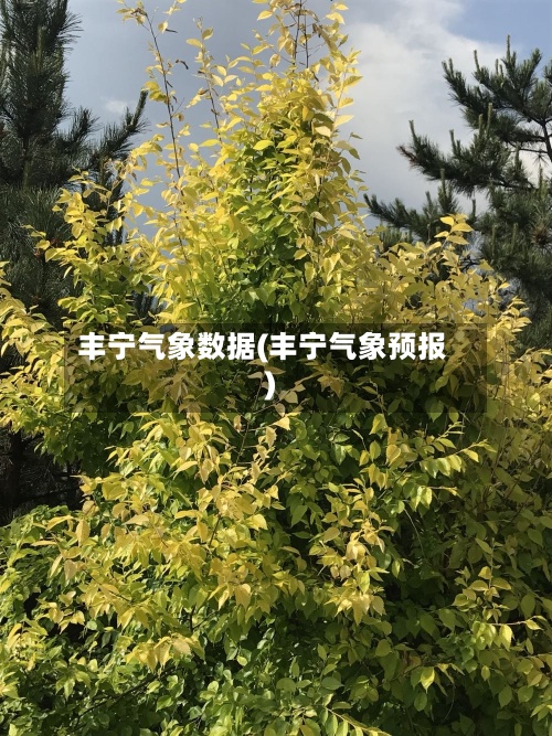 丰宁气象数据(丰宁气象预报)-第3张图片