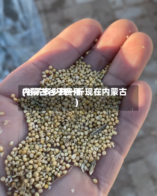 内蒙古谷子费用(谷子多少钱一斤现在内蒙古)-第2张图片