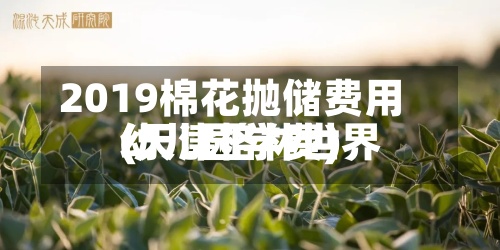 2019棉花抛储费用(天津格林世界幼儿园学费)