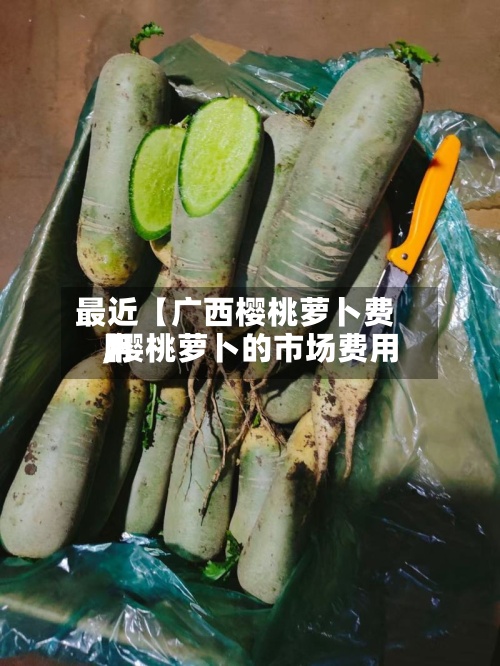 最近【广西樱桃萝卜费用,樱桃萝卜的市场费用】