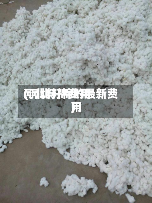 河北籽棉费用(河北籽棉的最新费用)-第3张图片